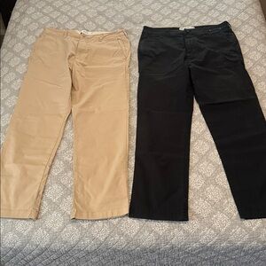 Hollister Slim Straight Chino Pants Set of 2